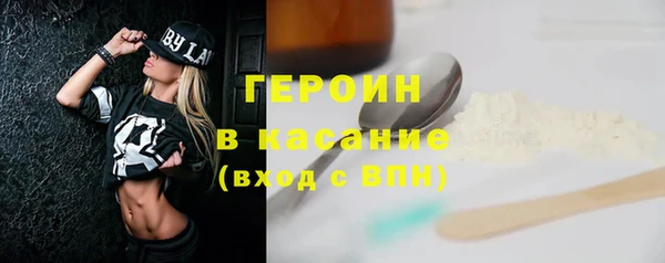 шишки Арсеньев