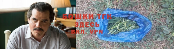 шишки Арсеньев