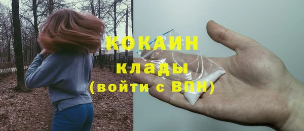 шишки Арсеньев