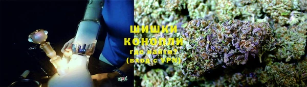шишки Арсеньев
