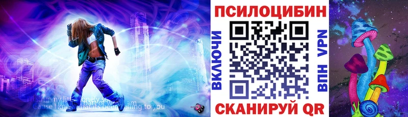 Купить закладки  Муравленко  Псилоцибиновые грибы мицелий 